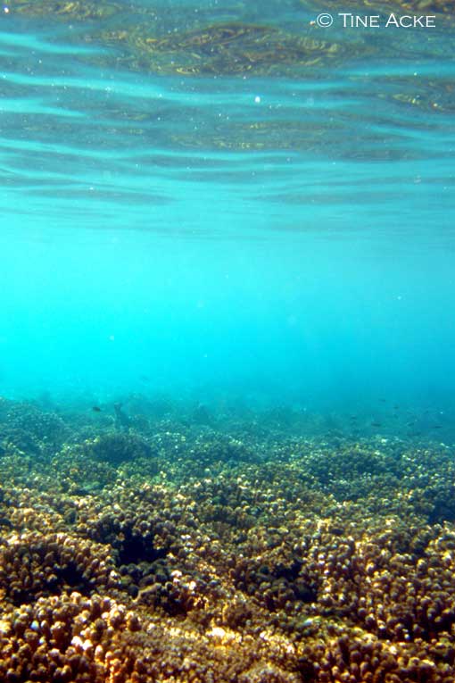 DSCN5579.jpg