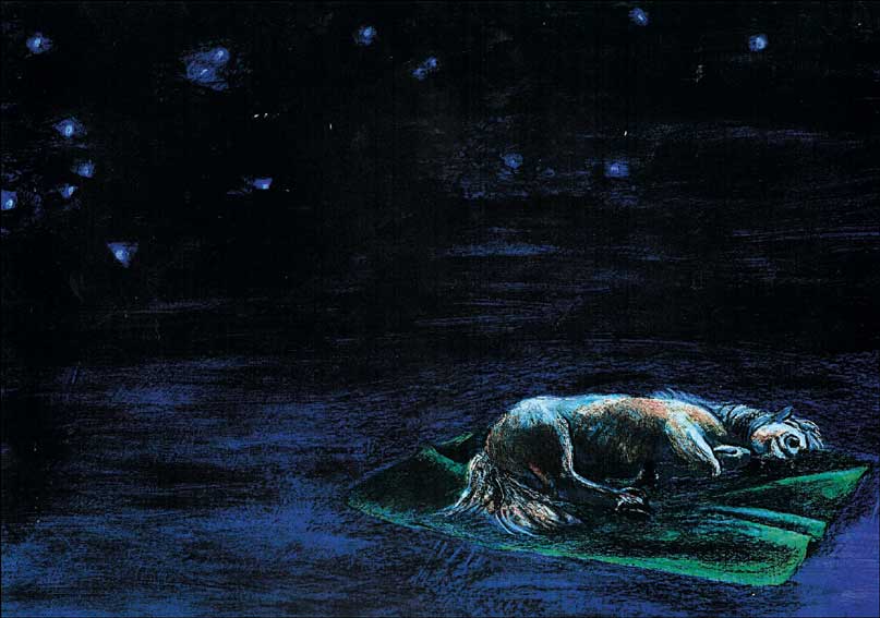 pferd03.jpg